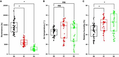 Mung Bean (Vigna radiata L.) Source Leaf Adaptation to Shading Stress Affects Not Only Photosynthetic Physiology Metabolism but Also Control of Key Gene Expression